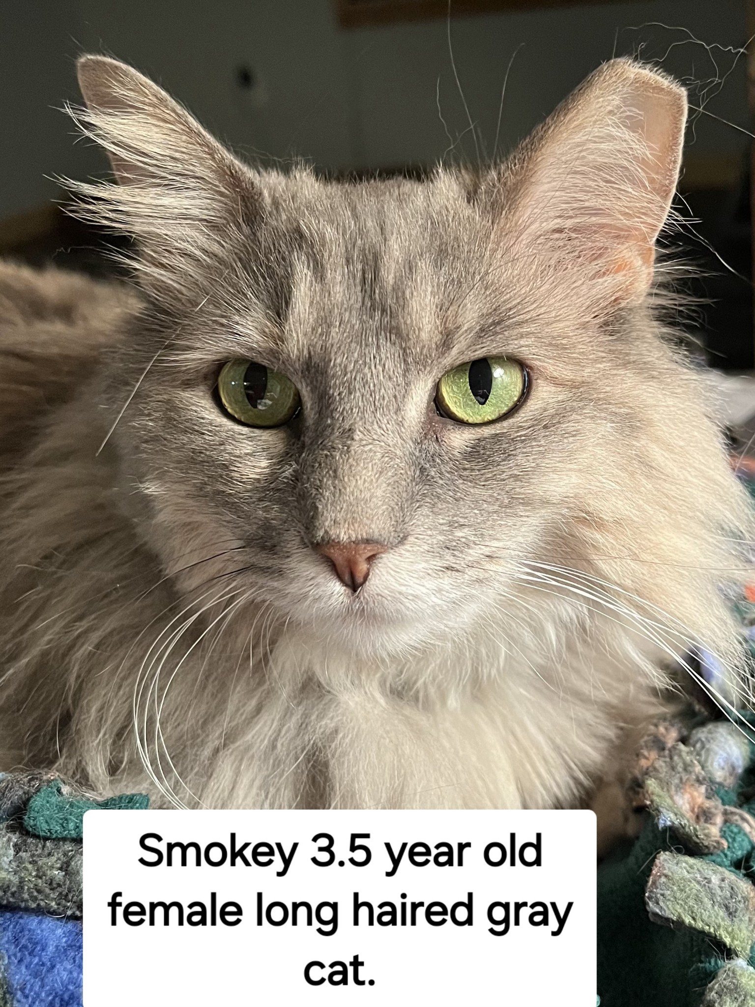 Smokey